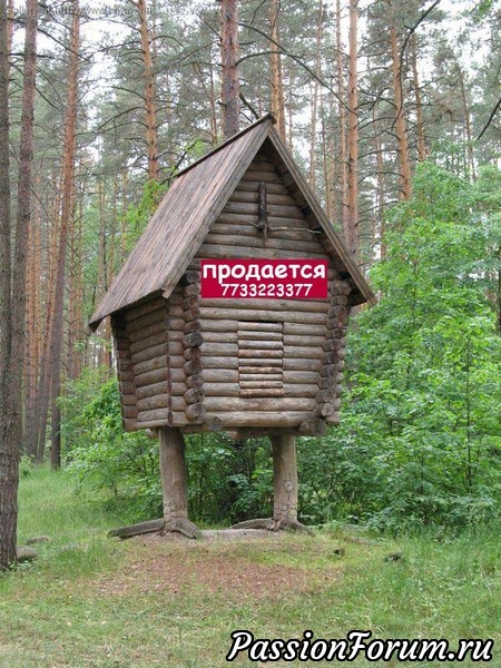 Комментарий к изображению Комментарий к изображению