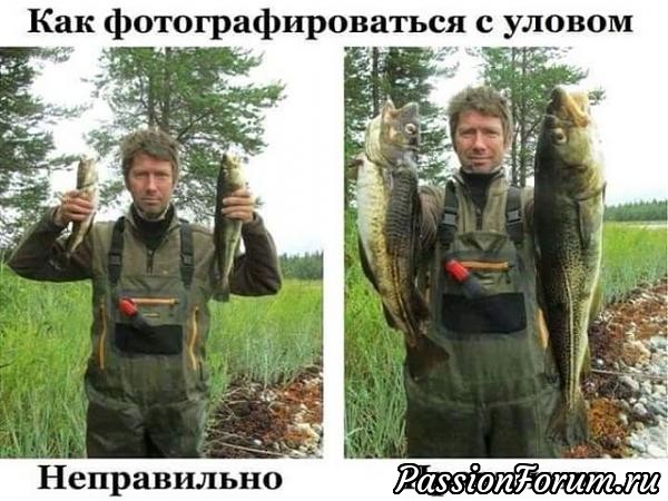 Комментарий к изображению Комментарий к изображению