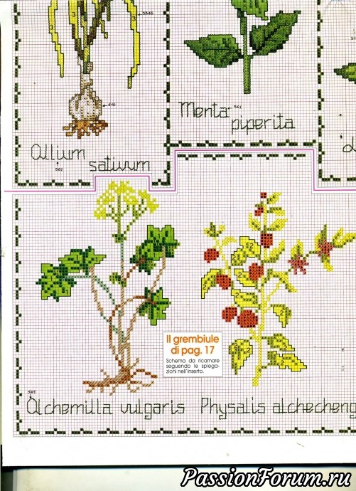 Le idee di Susanna Le idee di Susanna
