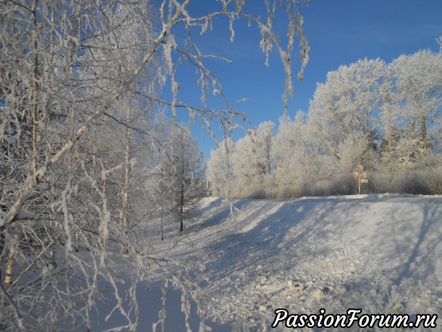 Снежные кружева