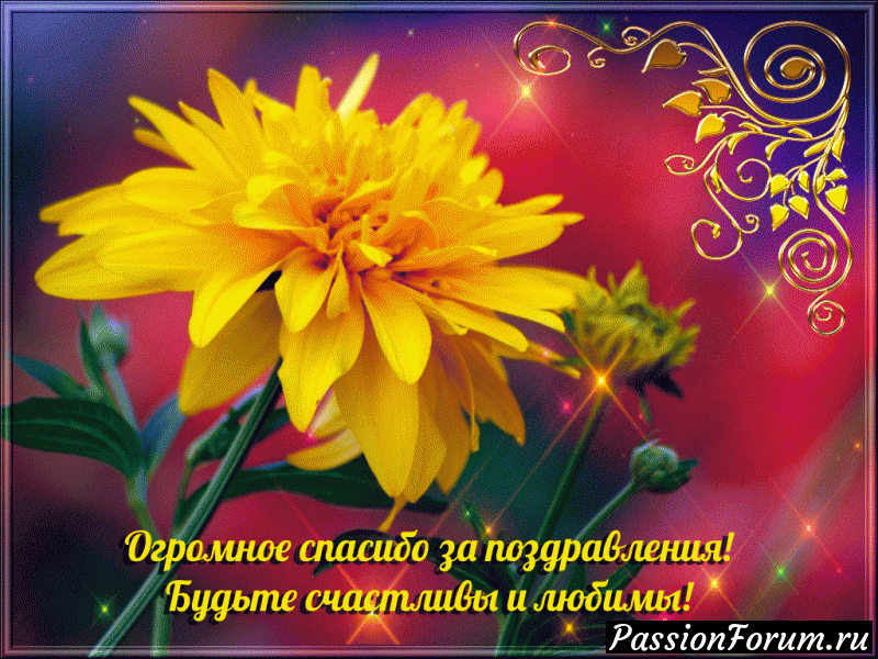 Спасибо за Ваши искренние поздравления с Днем рождения!!!