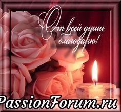 Ирочка, от всей души ещё раз говорю- огромное, сердечное спасибо!!!Вы подарили нам новогоднюю сказку и чудо!!! Я так рада!!! Ирочка, от всей души ещё раз говорю- огромное, сердечное спасибо!!!Вы подарили нам новогоднюю сказку и чудо!!! Я так рада!!!