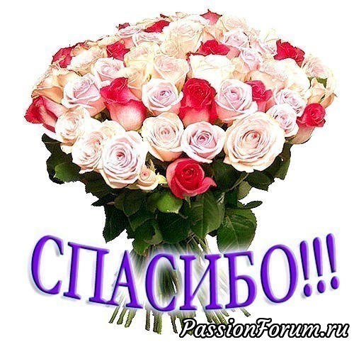 БОЖЬИ БЛАГОСЛОВЕНИЯ!