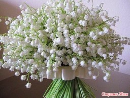 Юлия Юлия