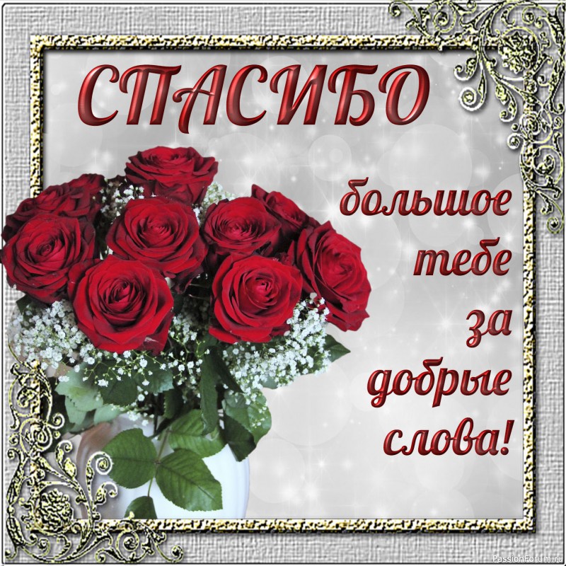 Всем спасибо!