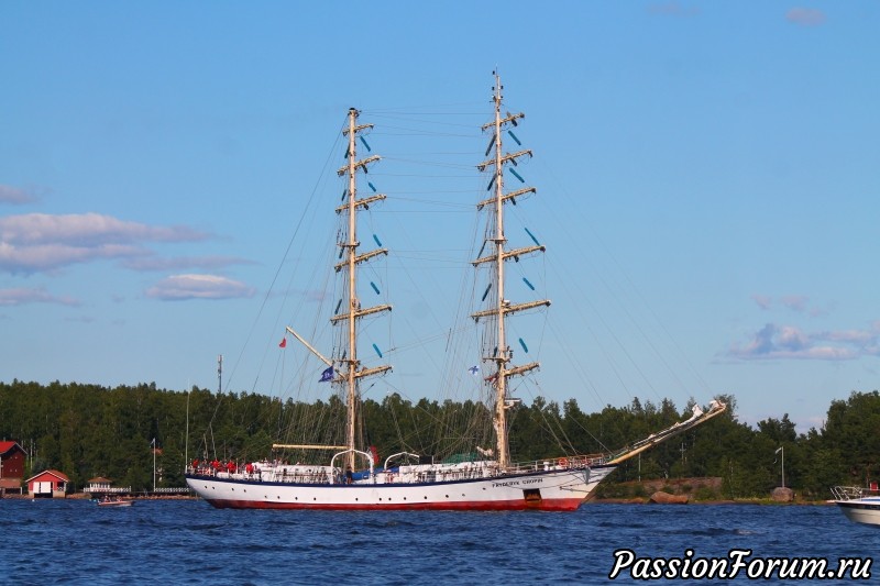 The Tall Ship Races