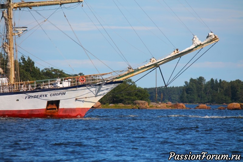 The Tall Ship Races