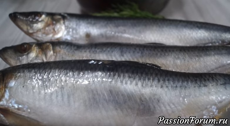 Засолка сельди в банке (Настоящий бочковой засол)