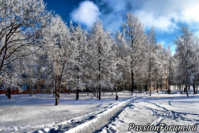 Зима в городе.