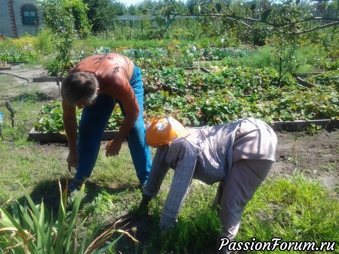 Домовые куклы Домовые куклы