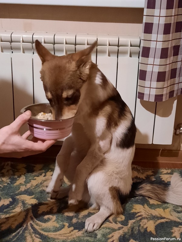 Новогодние подарки Новогодние подарки