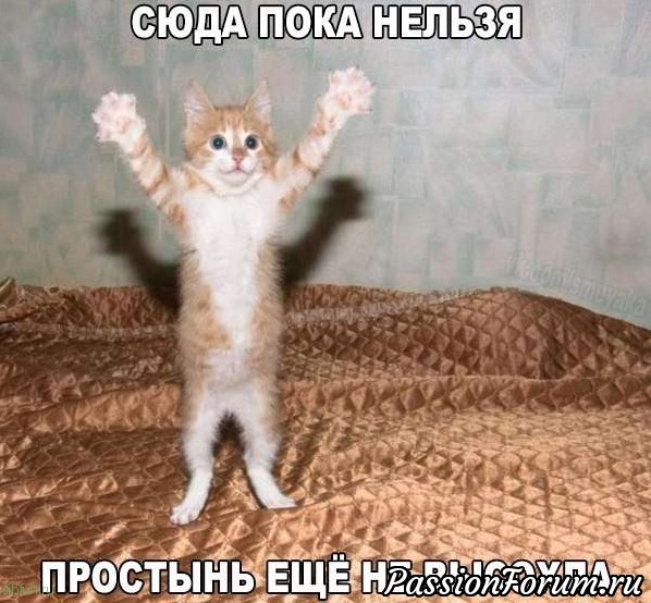 Смешные и забавные животные