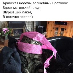 Anna Schablyi Anna Schablyi