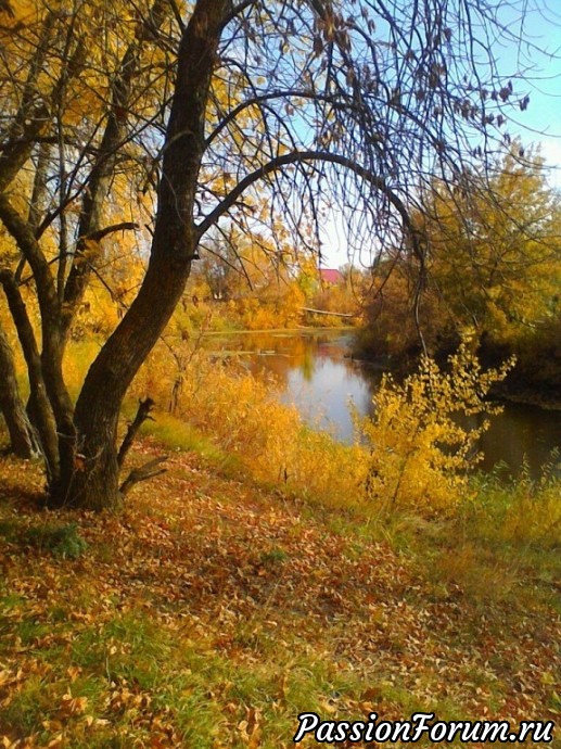 Осень