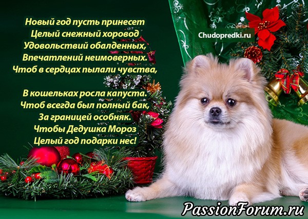 С новым годом!!!