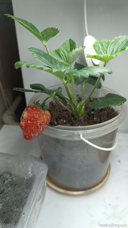 А у нас лето!