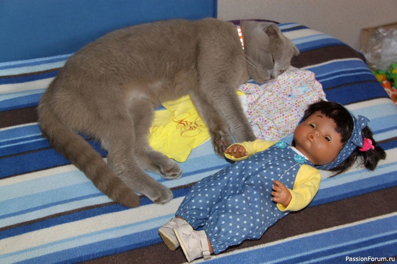 Вероникино житьё-бытьё))