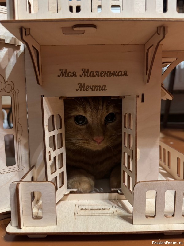 Наш великолепный дом!