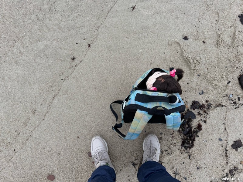 Вероникино житьё-бытьё))