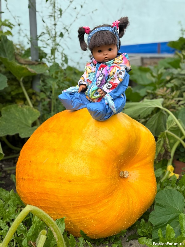 Вероникино житьё-бытьё))