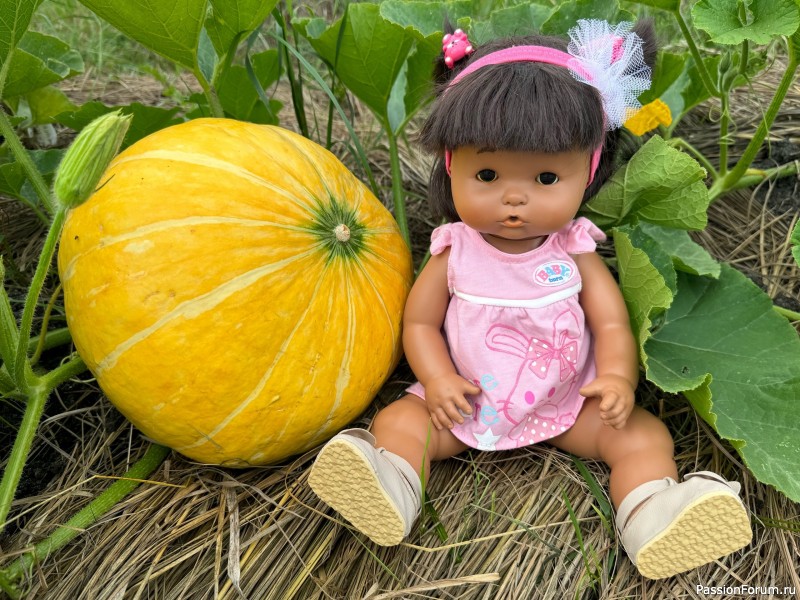 Вероникино житьё-бытьё))