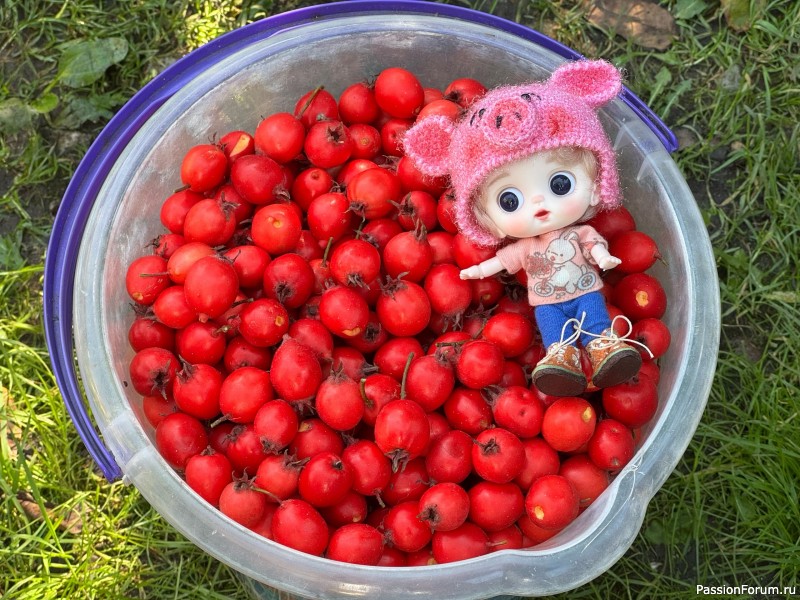 Стёпа и Маринка - наши новые кукложители