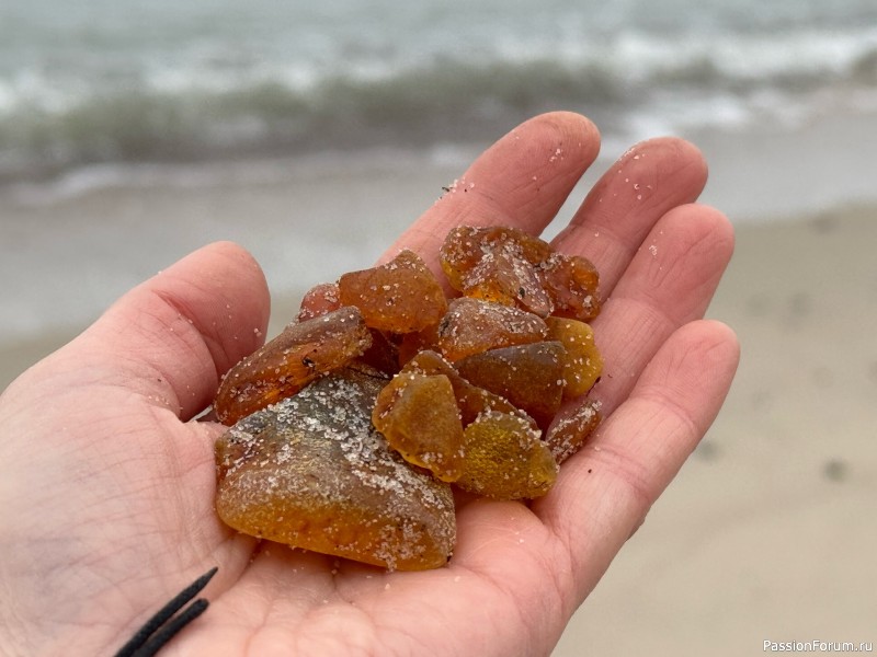 Вероникино житьё-бытьё))