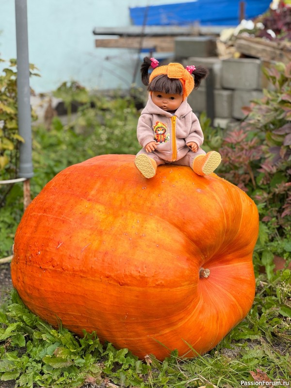 Вероникино житьё-бытьё))