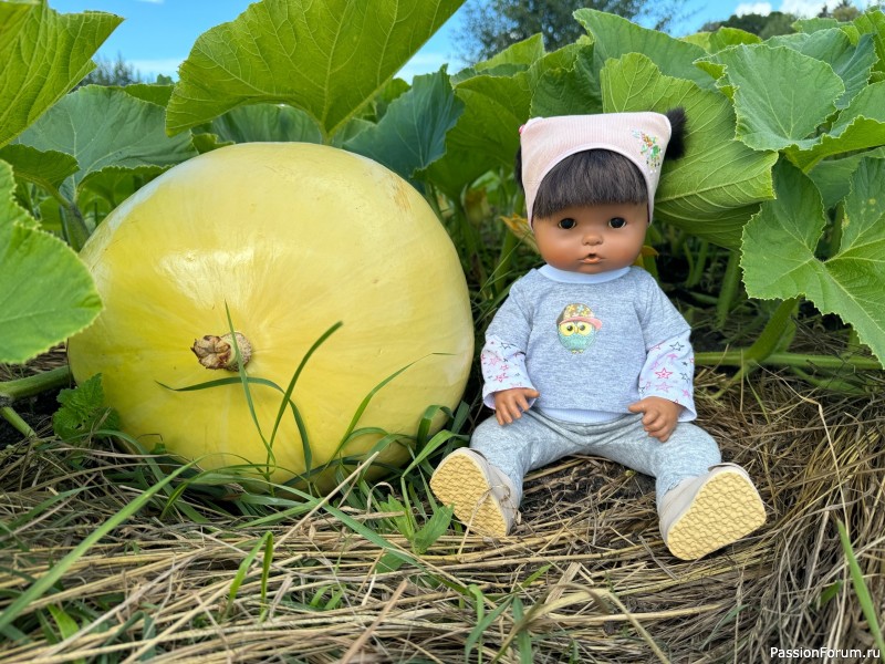 Вероникино житьё-бытьё))