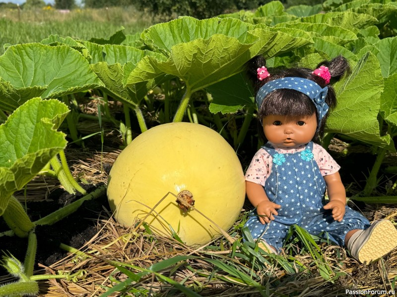 Вероникино житьё-бытьё))