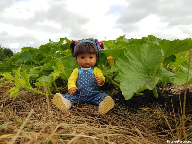 Вероникино житьё-бытьё))