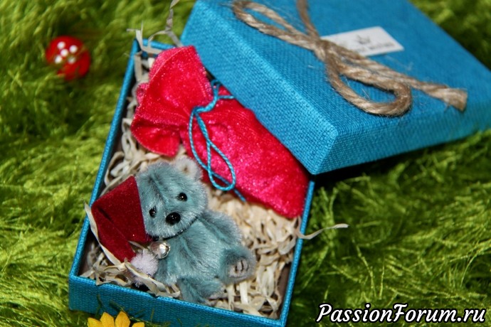 Медвежонок Федот ищет дом!