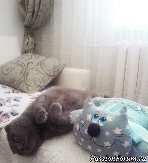 Котяточки, такие милые и разные )) Котяточки, такие милые и разные ))