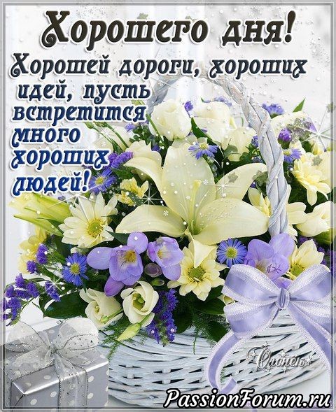 Джурабы. Схема. Связаны спицами.