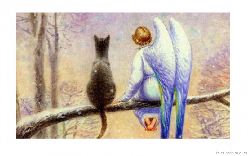 Носочки Ангелу