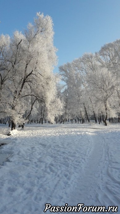 Зимнее утро в Сибири