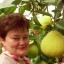 Нина (Нина)