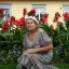 нина (нина)