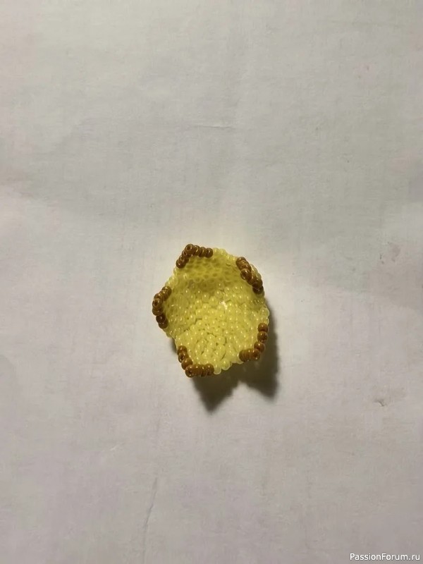 Пасхальные кактусы