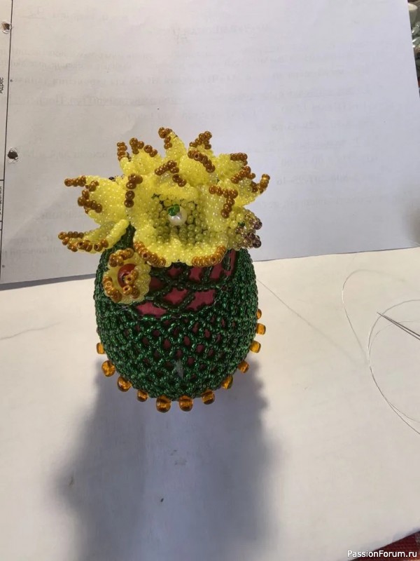 Пасхальные кактусы