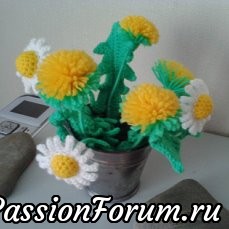 Одуванчики