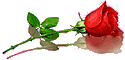 e39450899e0f2c8023ea26ab83e884cd1.gif