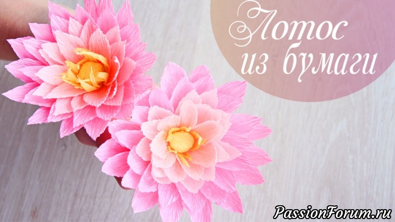 Лотос из бумаги
