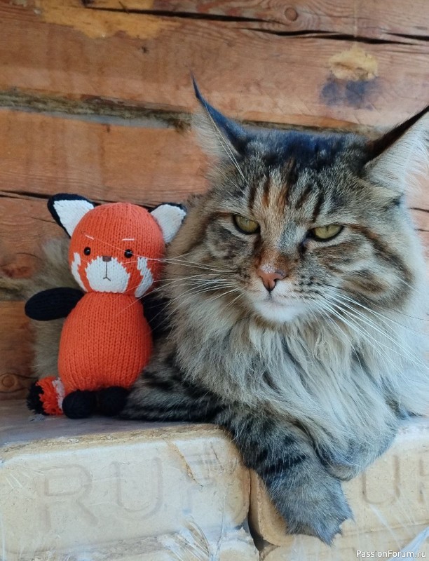 Красная панда