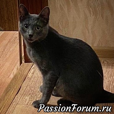 Потихоньку осваивает новое место жительства. Потихоньку осваивает новое место жительства.