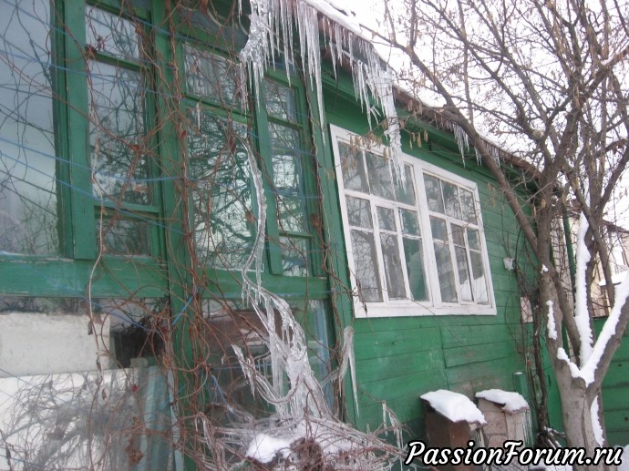 Повесть "Бабушкин сад". Глава 2.