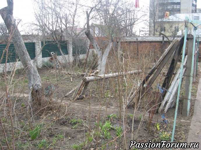 Повесть "Гимн Природе" в исполнении Бабушкиного сада. Глава 4. Катя Курская