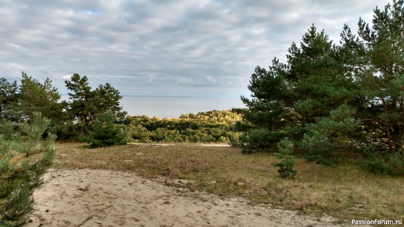Отдых в Зеленоградске