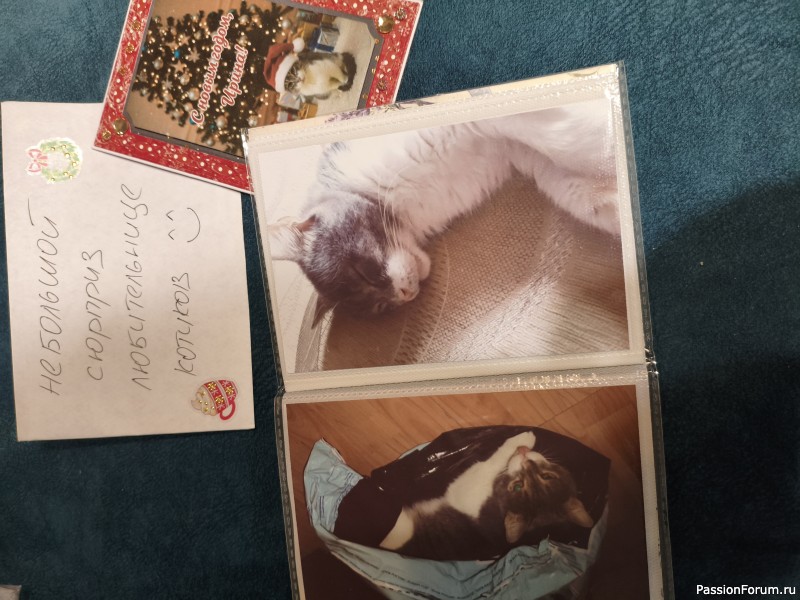 Подарок, трогательный до слёз!