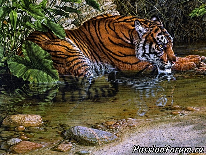 Тигр - символ величия и мощи